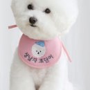 기묘한강아지 네이버블로그