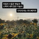 동락원