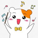 유핏 이미지