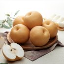 달나라토끼 이미지