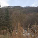 퇴촌면-4 이미지