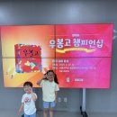 우봉고 챔피언십(초등 저학년) | 2026 우봉고 챔피언십 전국대회 본선 / 초등 저학년부 은메달 후기 (서울대학교 글로벌공학교육센터)