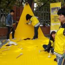 옐로카펫 이미지