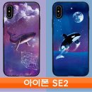 고래의꿈A 이미지