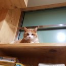 횡성동물병원 이미지