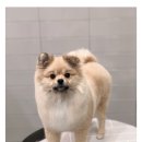 스파 앤 컷 네이버블로그