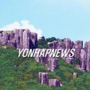 주상절리대 이미지