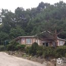 호수위의하루