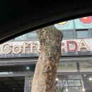 와동공원로 | [안산] 와동 커피다 두바이쫀득쿠키 포장 후기 (feat. 존맛 두쫀쿠 맛집 발견..!)