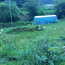 백봉빌딩 이미지