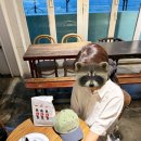 쿠라우니 이미지