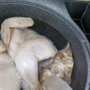 예다원 | 예다원 국품 꽃잎을 넣은 백숙재료 후기 집에서 끓이는 깊은 국물