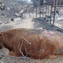 기곡경로당 이미지