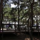 용봉산캠핑장 티스토리