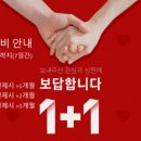 엠에스텔레콤 이미지