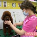 동래종합동물병원 이미지