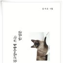 시집 이미지
