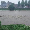 완주군(삼례교) 천지일보