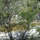 덕동자동차야영장 이미지