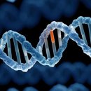 한강한의원 이미지