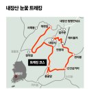 겨울왕국 안에 단풍천국이 있었다 이미지