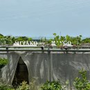 현농장 | 미야코지마 여행 필수코스! 애플망고 농장 카페 Shirabari Farm