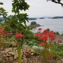 흰작살펜션 이미지