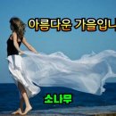 비누사랑