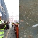 바다세상 이미지