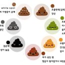 우리 강아지가 말을 해요 이미지