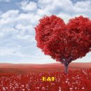 비자사랑행정사사무소 이미지