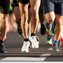 짐포레스트 방배점 이미지