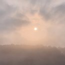 중천농장 이미지