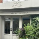 스테이두루 | 순천 시내 감성 숙소 가성비 좋은 스테이 두루ㅣ주차ㅣ조식