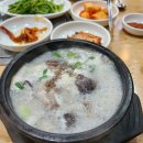수원-1131 Daum카페