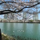 2015042 이미지