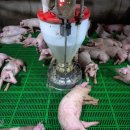 덕림축산 이미지