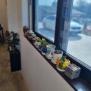 팬더한우소머리곰탕 | 울산 간절곶 맛집, 서생 오감의언덕집 한우소머리곰탕 내 돈 내산 솔직 후기