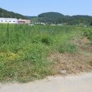 신산리-2 이미지