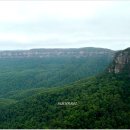 블루마운틴 이미지