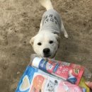 대양농장2 이미지