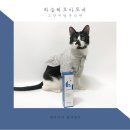 A0245 | 강아지 고양이 푸석푸석 털 관리 편 강아지 스토리 모이스처 미스트 후기