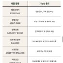 개발바닥친구들 이미지