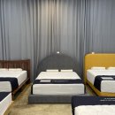 펫엣지-수입 | 김포가구단지 소파, 침대 합리적인 곳