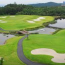 포라이즌 이미지