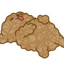 아자자치킨 이미지
