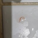 서울특별시 중부수도사업소 이미지