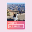 [서울시립대 정문 카페추천] 어프리시티(apricity) 내돈내산후기