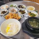 김치품은등갈비