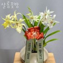샬롬꽃방 - 강북구 오현로31길 16 | 샬롬꽃방